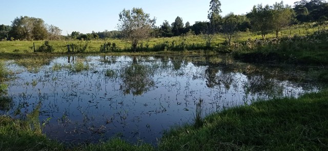 Chácara 2 hectares com açudes 