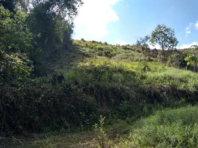 Terreno no Pitangueiras  - Foto 4
