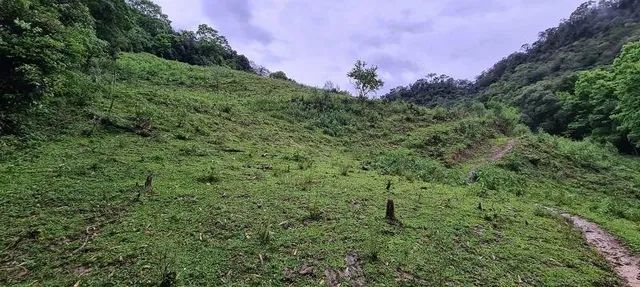 Vendo sítio de 12 hectares (120.000 mil metros) - Foto 4