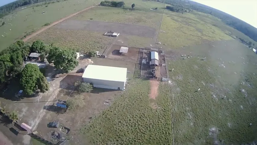 fazenda 200 hectares regiao do canta (Felix Pinto)