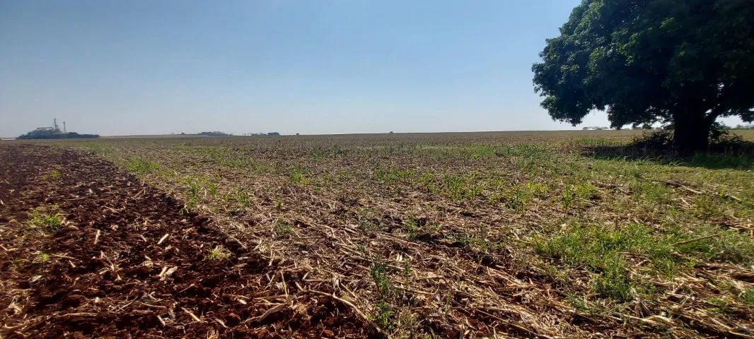 Sitio de 38,72 hectares com terra de cultura - Foto 3