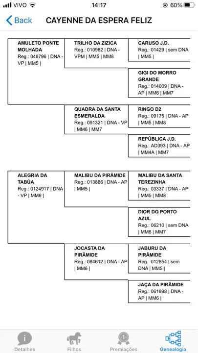 Égua mangalarga - Foto 5
