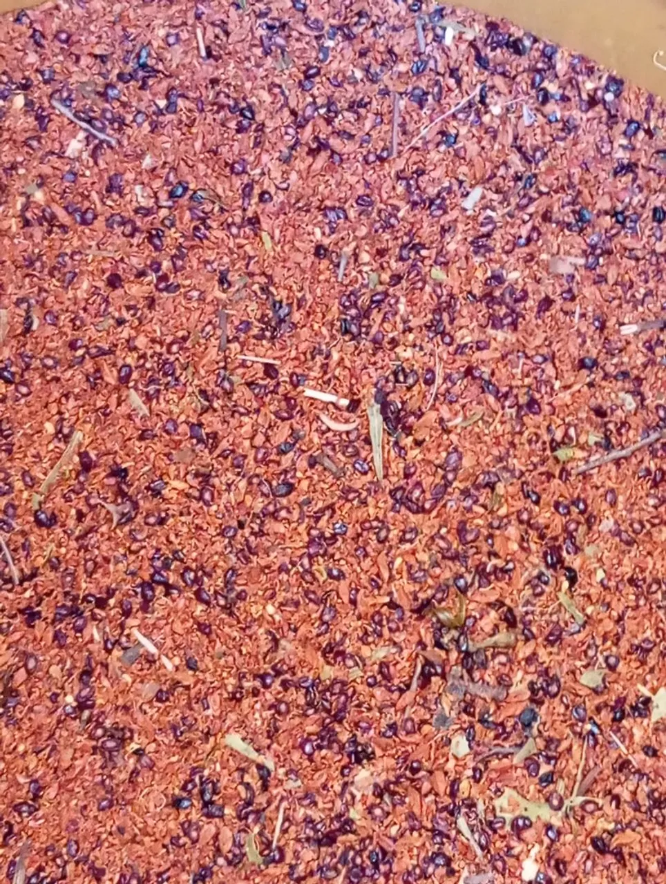 Sementes de eucalipto cidriodoro
