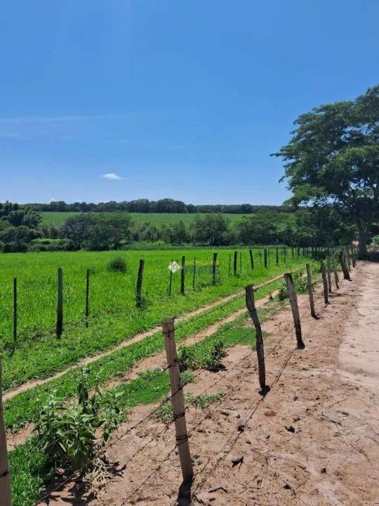 Sítio Macaubal -SP - 03 alqueires, por R$ 850.000 - Macaubal/SP