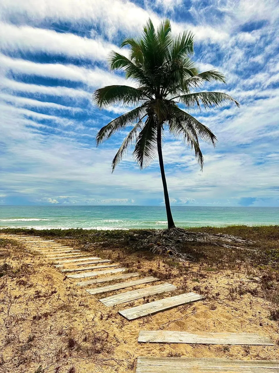 RESERVA SAUÍPE ÚLTIMAS UNIDADES , INFRA ESTRUTURA COMPLETA COSTA DE SAUÍPE