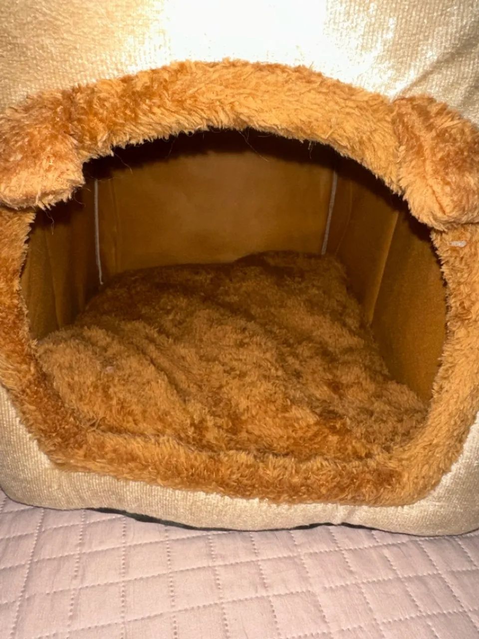 Casinha pra cachorro ou gato  - Foto 5