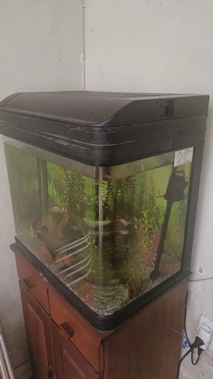 Aquário de 100L com Acessórios - Foto 2
