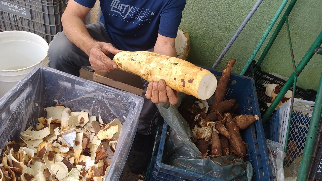 Mandioca fresca e saborosa para sua cozinha!