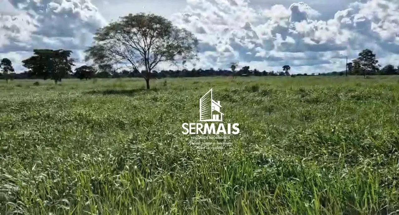 Sítio à venda 10 alqueires co título definitivo!, EM MACHADINHO/RO Valor: R$ 650.000,00
