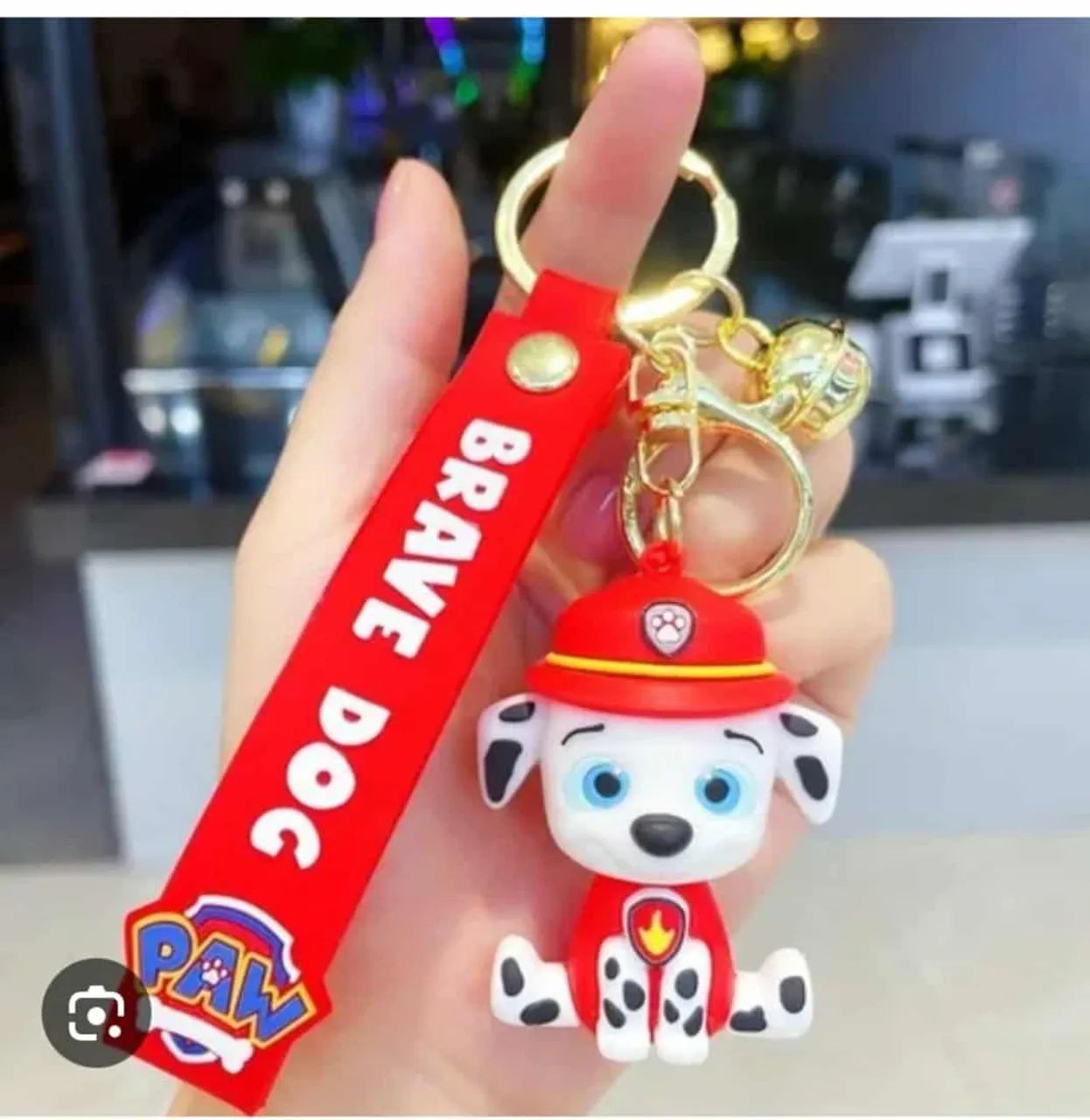CHAVEIRO PATRULHA CANINA