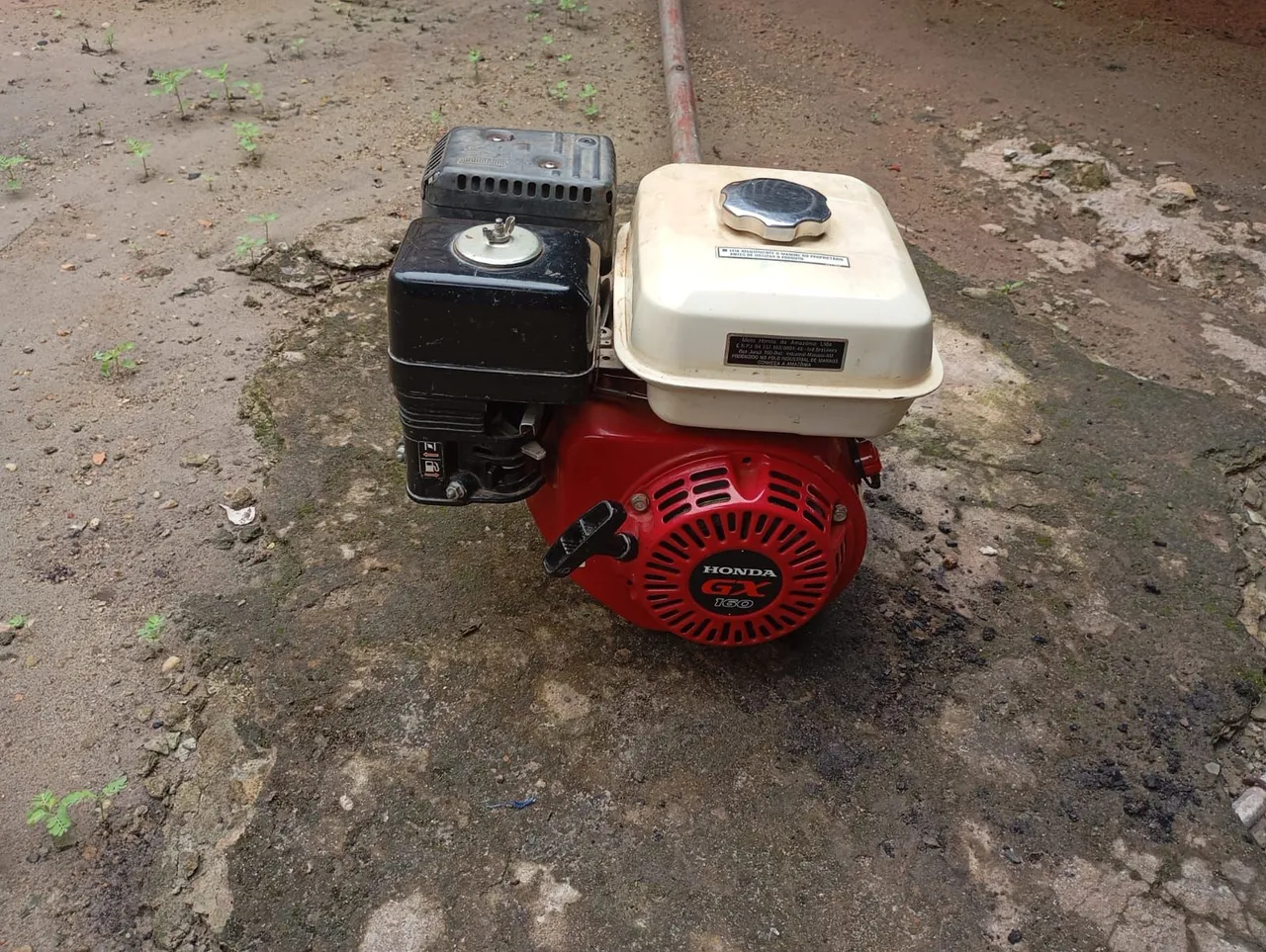 Vende-se motor rabeta 5.5