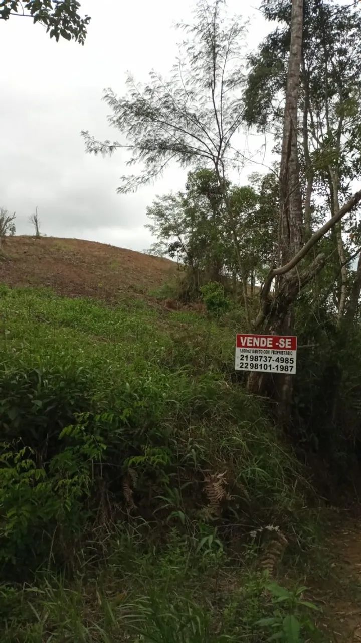 1600M2 - Foto 2