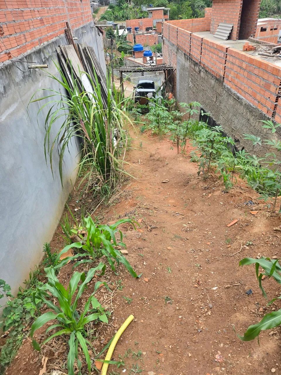 Terreno 