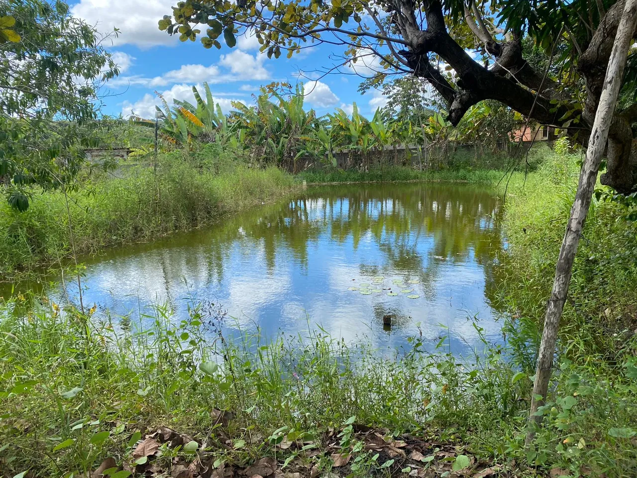 Sítio Catú da estrada