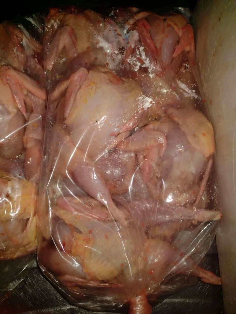 Codornas para churrasco ,vivas e abatido  - Foto 2