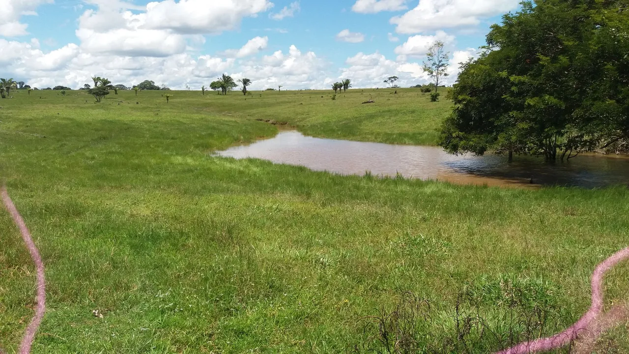 Vendo ou troco uma linda fazenda na boca do Acre por imóvel em rio branco ou próximo