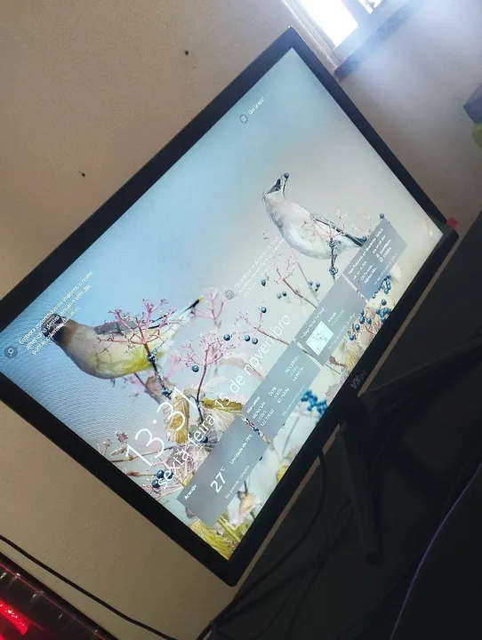 Monitor VX Pró 19 Game - novo na garantia