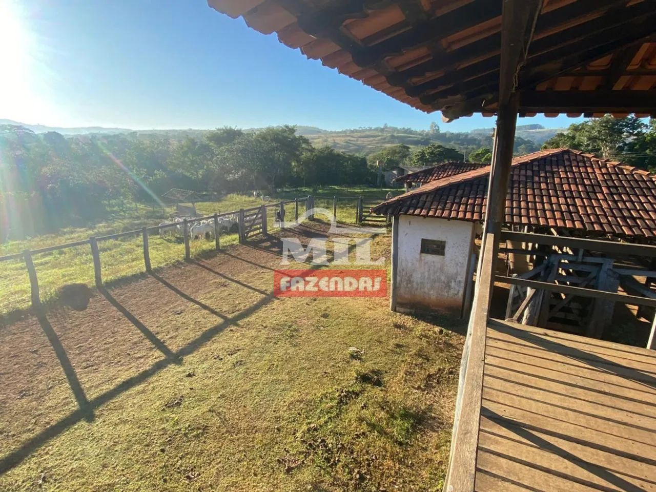 Fazenda 142 alqueires (687 hectares) Cocalzinho de Goiás - GO - Foto 5