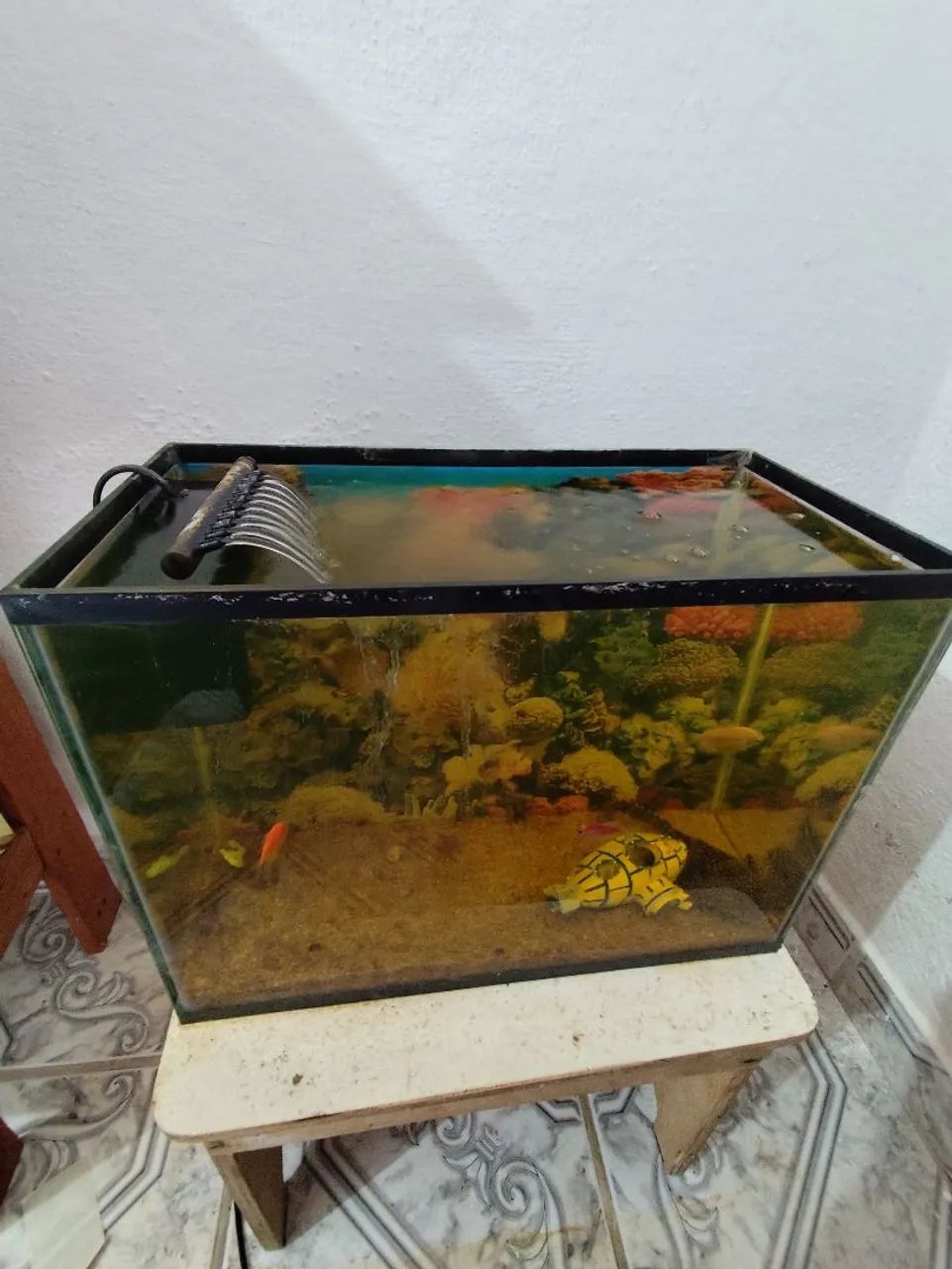 Aquário com Filtro e Decoração