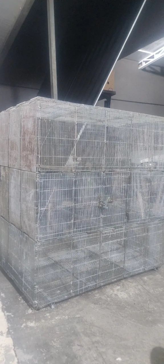 Gaiola viveiro Calopsita e outros medida 1.10x1.05x0.60 - Foto 5