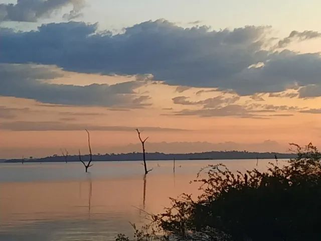Vendo Ilha Paradisíaca no Lago de Tucuruí (acesso por Jacundá)  - Foto 4