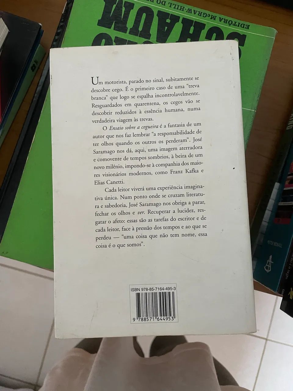 Ensaio sobre a cegueira - Foto 2