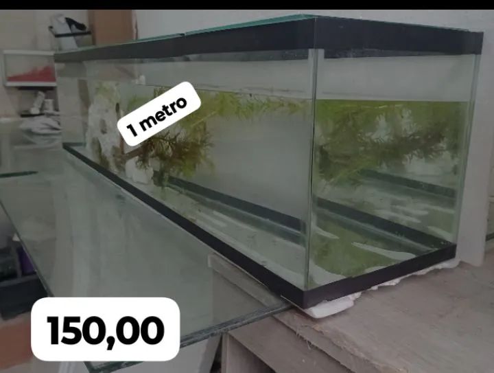 Aquário de 1 metro