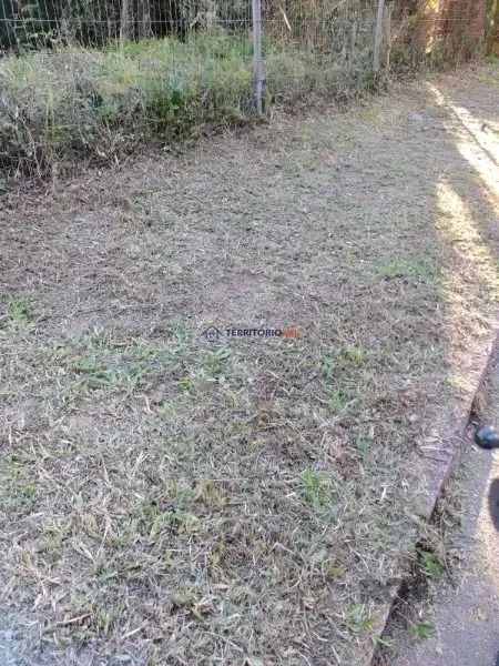 Terreno em Porto Alegre, no bairro Teresópolis, à venda. - Foto 4