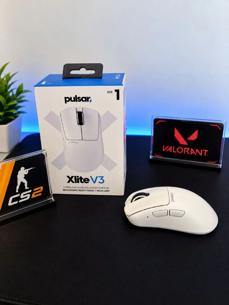 Pulsar Xlite V3 Size 1 + Dot Skates | CS2 / Valorant Mouse Gamer