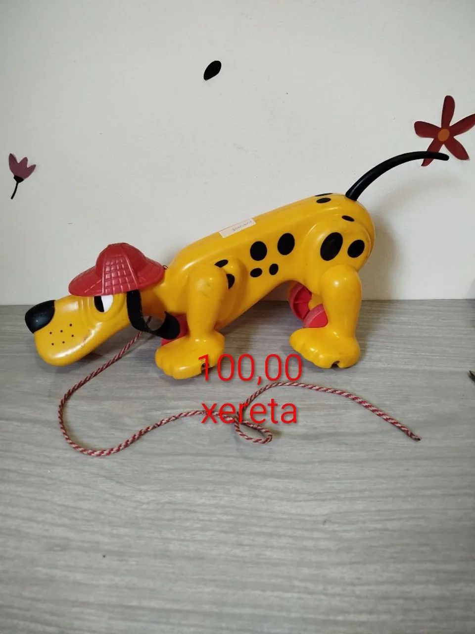 Cachorro xereta estrela 