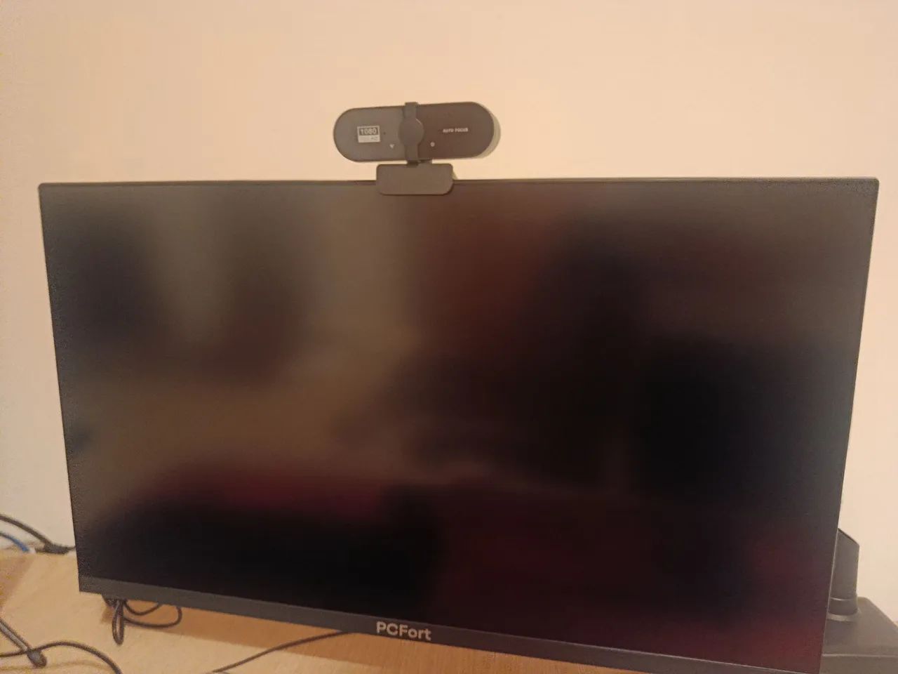 MONITOR PC FORT 165HZ 1920X1080