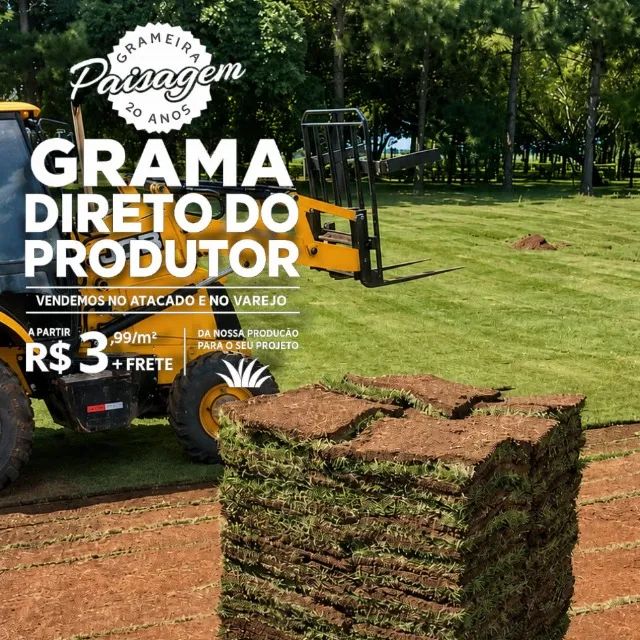 Grama Esmeralda