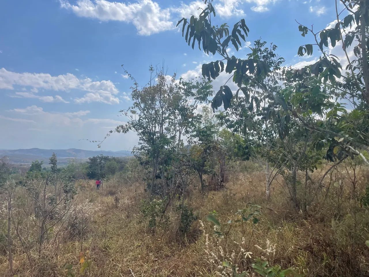 VENDE-SE ? ÁREA DE 20.000 m² próximo à Pirenópolis  - Foto 3