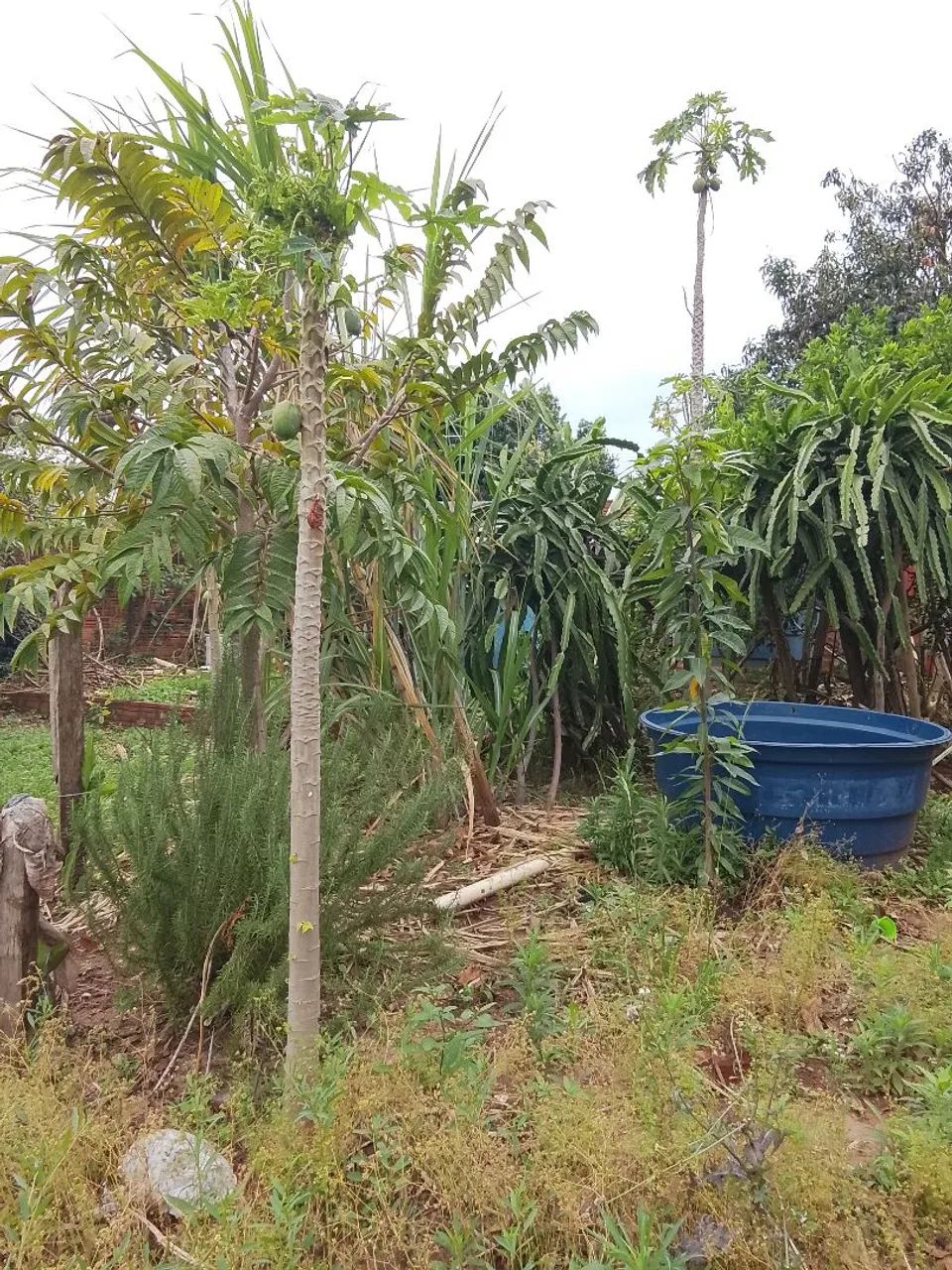 Vende-se Terreno - Foto 5