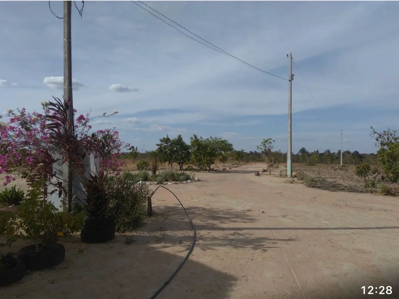 OPORTUNIDADE ÚNICA - VENDA DE 2 PROPRIEDADES RURAIS EM RORAIMA . - Foto 3