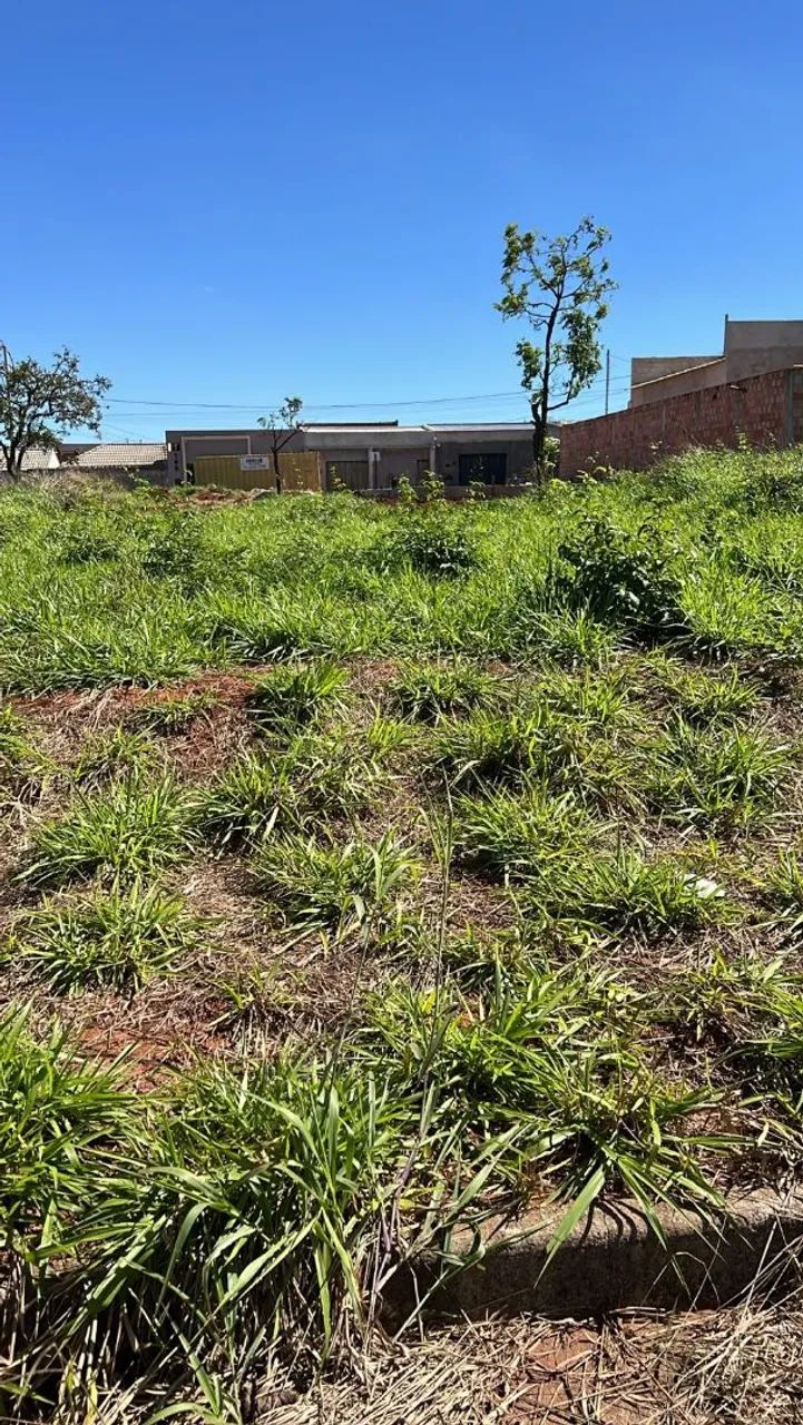 Vendo terreno no bairro Luizote IV
