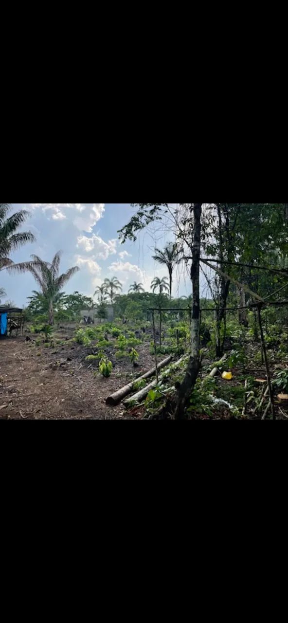 Foto - Manaus - Parque 10 de Novembro