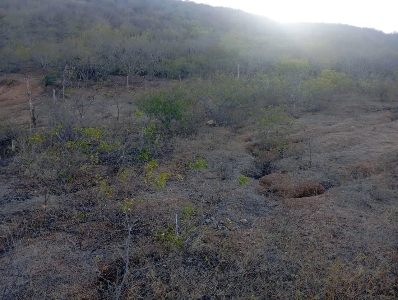 Terreno em Pão de Açúcar  - Foto 4