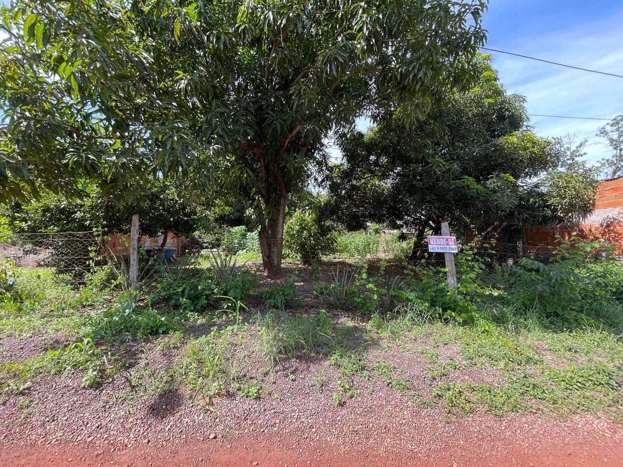 terreno nova esperança  - Foto 5
