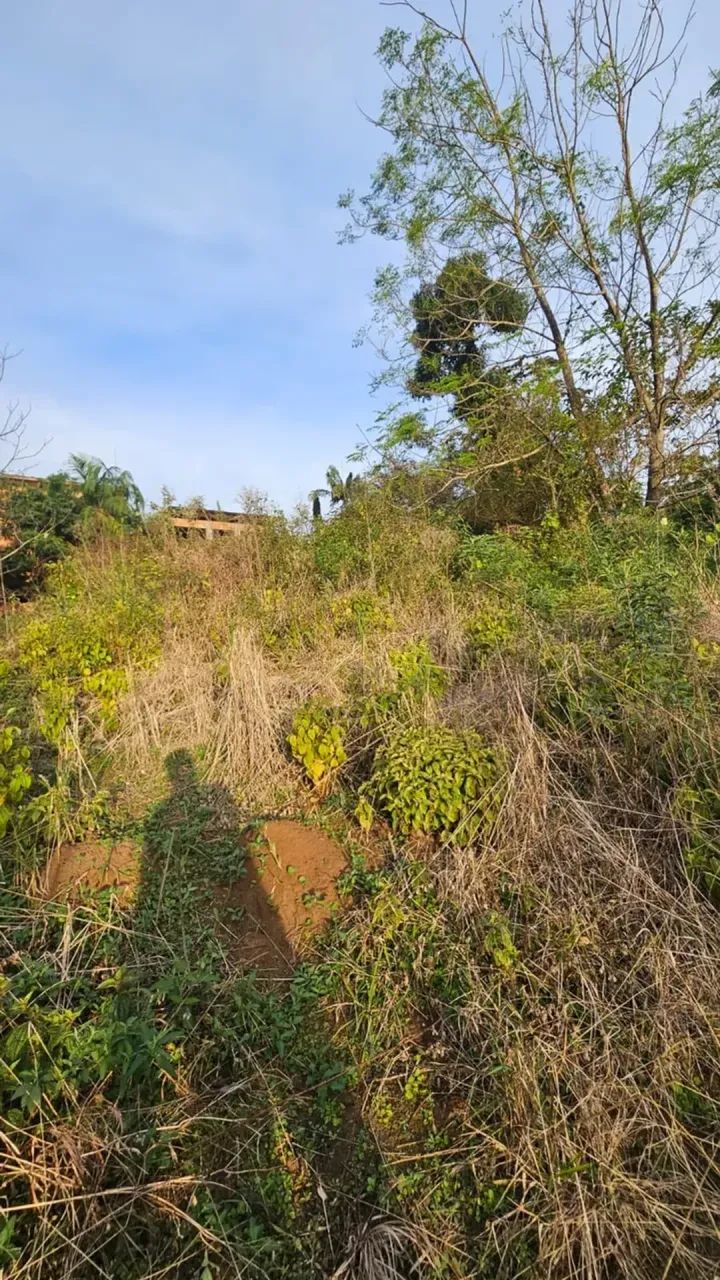 Lote no centro de Santo Amaro da Imperatriz - SC - Foto 4