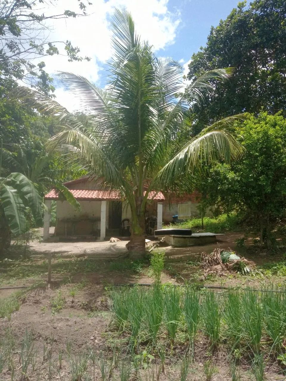 Casa no Pacoti - Foto 4