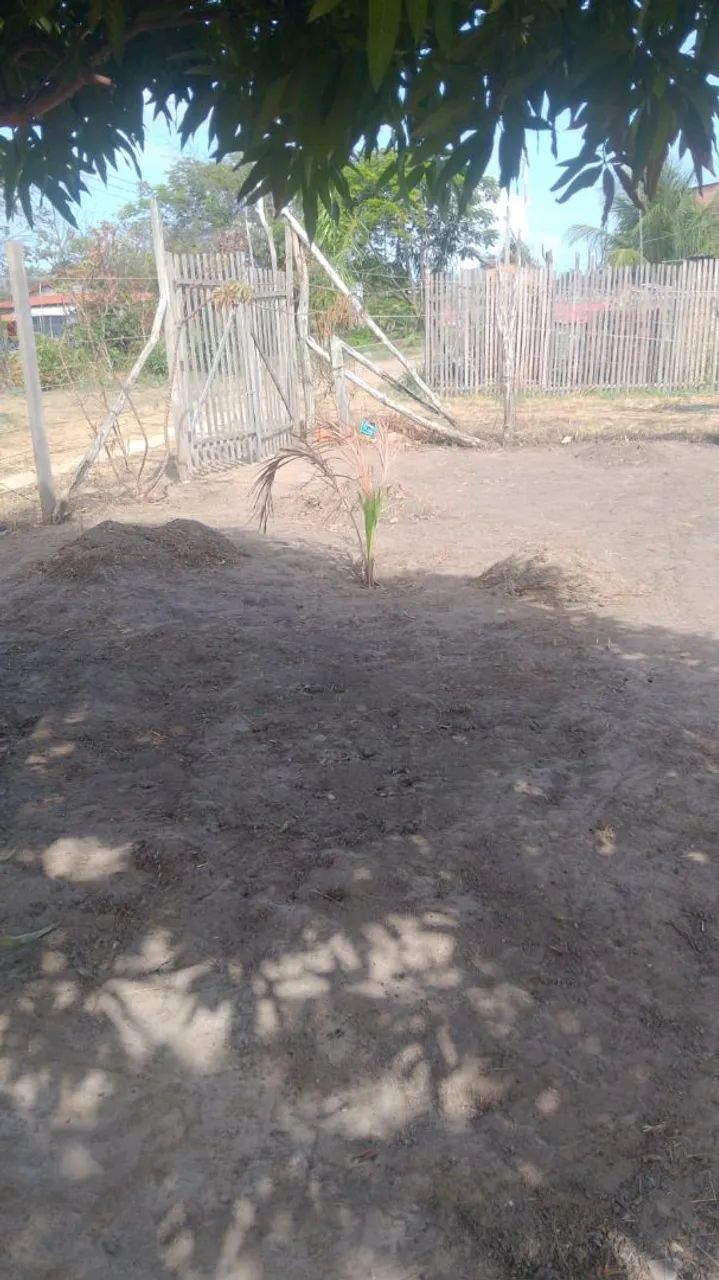 Terreno salinapolis  - Foto 4