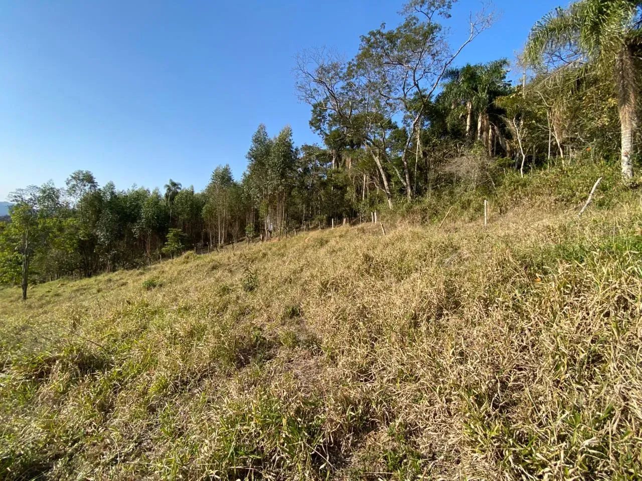 TERRENO A VENDA! ACEITO FINANCIAMENTO E FGTS - Foto 3