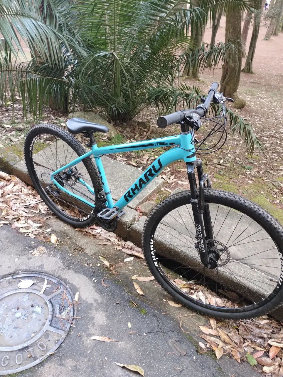Bike aro 29 