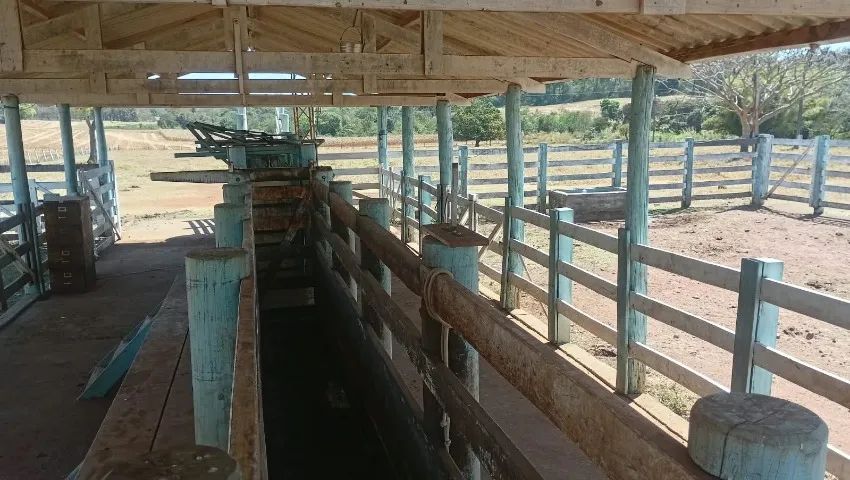 Chácara/Sítio de 22 alqueires em Goianápolis - GO - Foto 3
