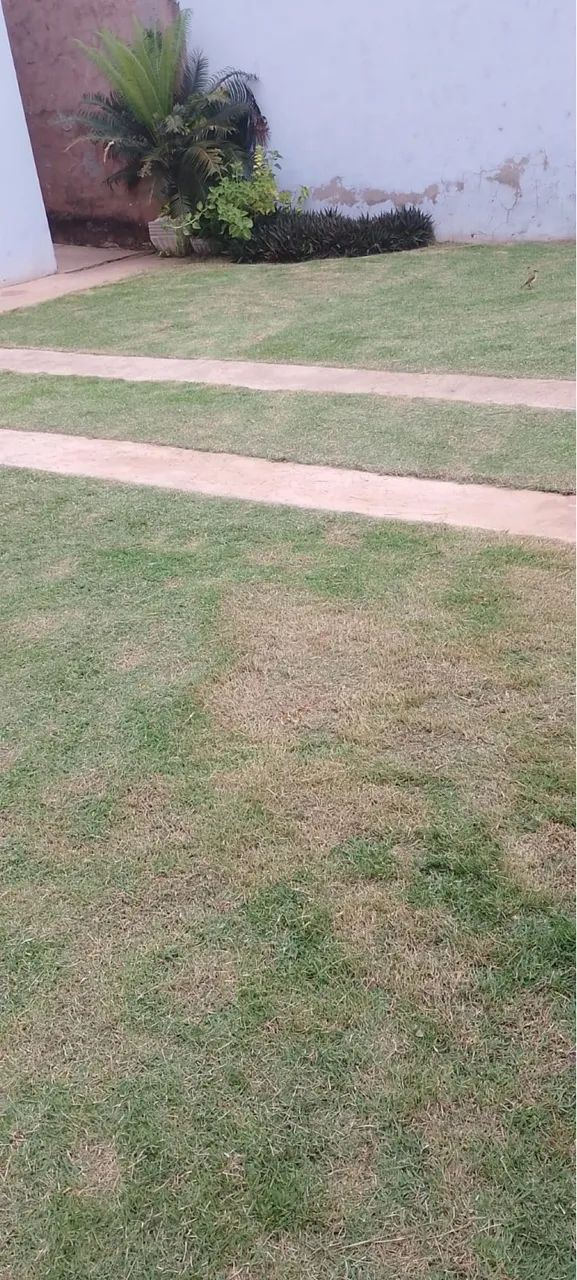 SOUZA SERVIÇOS - Foto 4