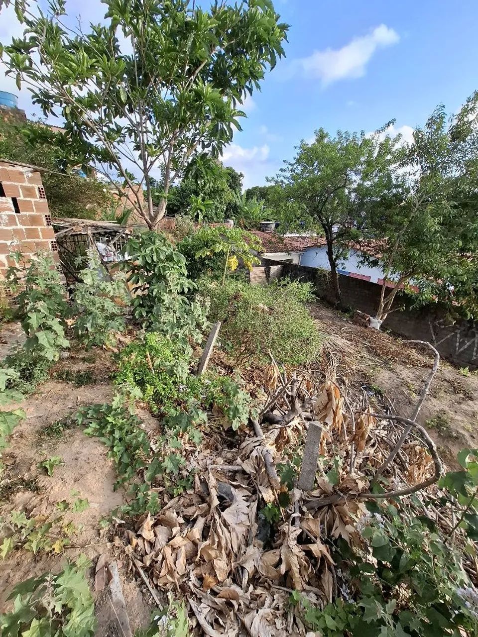 Terreno no Jordão Baixo com 210m² - Foto 2