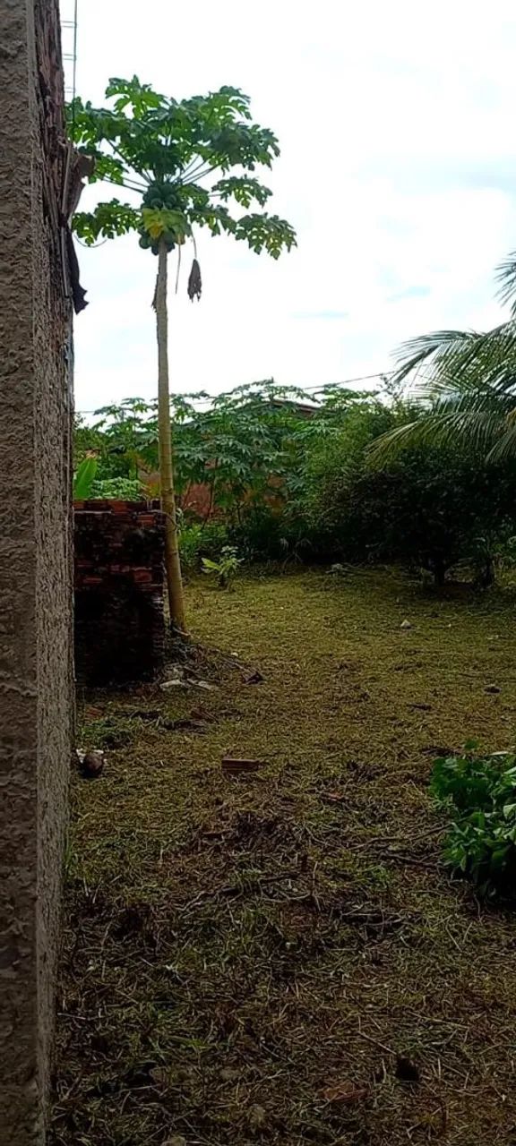 Terreno bem localizado e plano - Foto 3