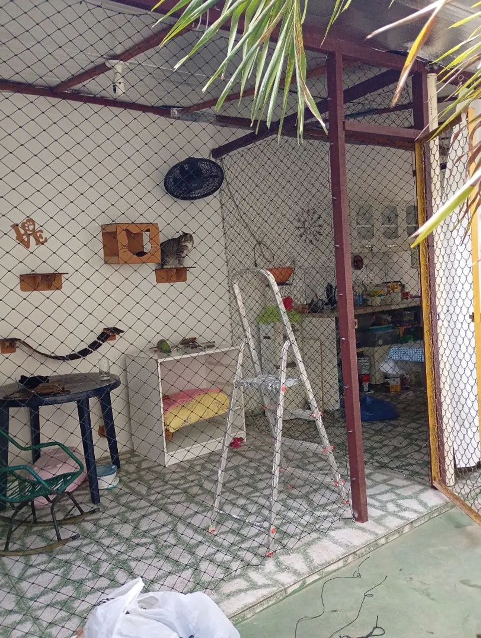 Telas de Proteção  - Foto 6
