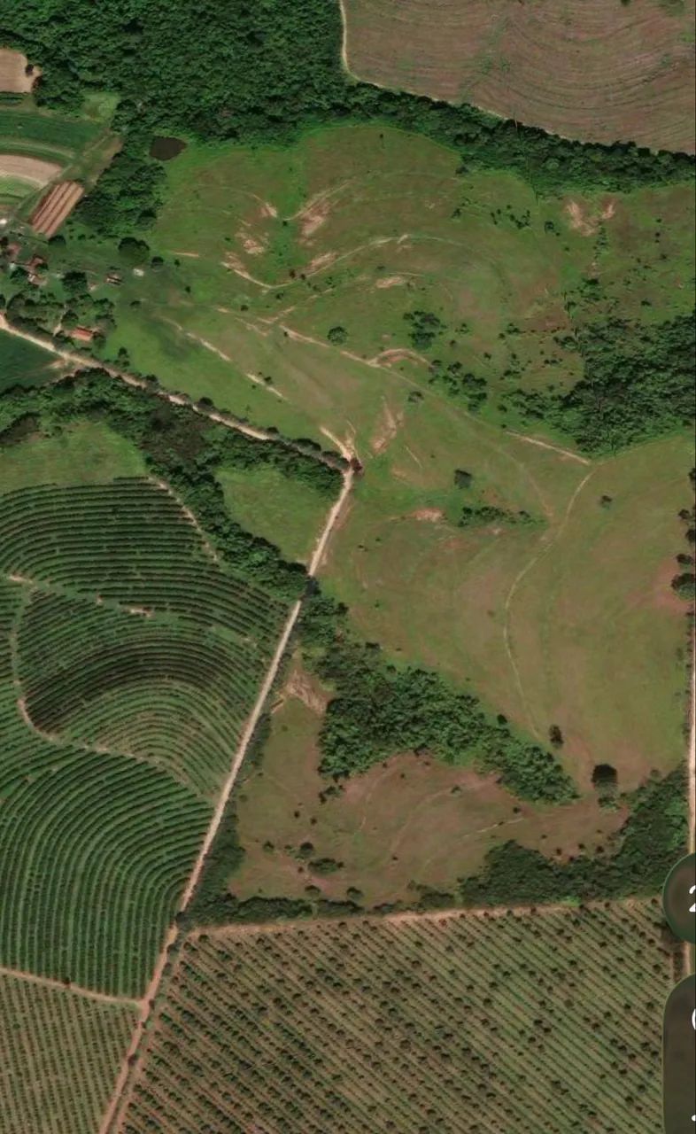 Sítio a venda - Foto 3